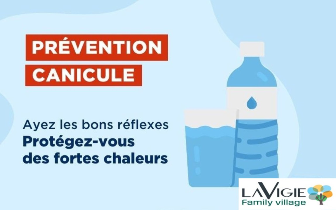 CANICULE